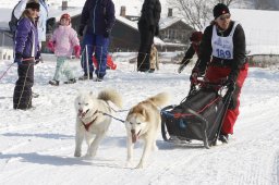 Lenk 2012 SM